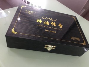 伟仁神油传奇 (2)