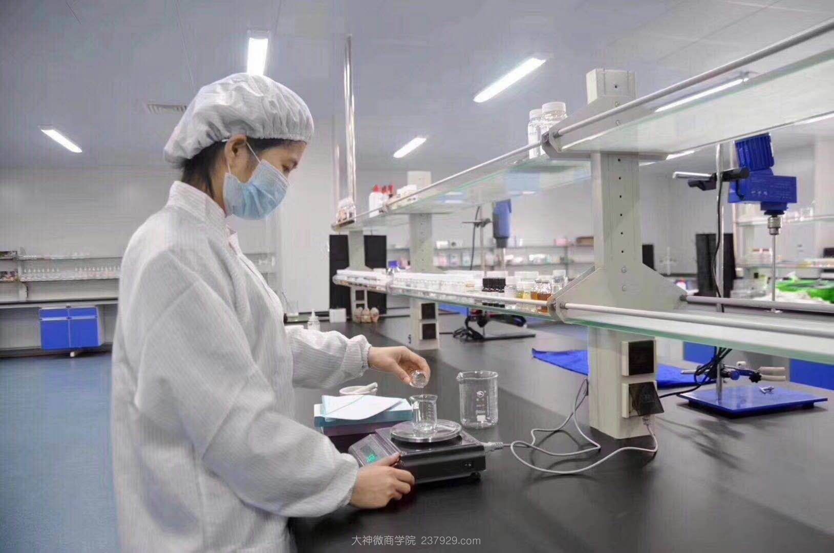 蜜都生产线和蜜都工厂