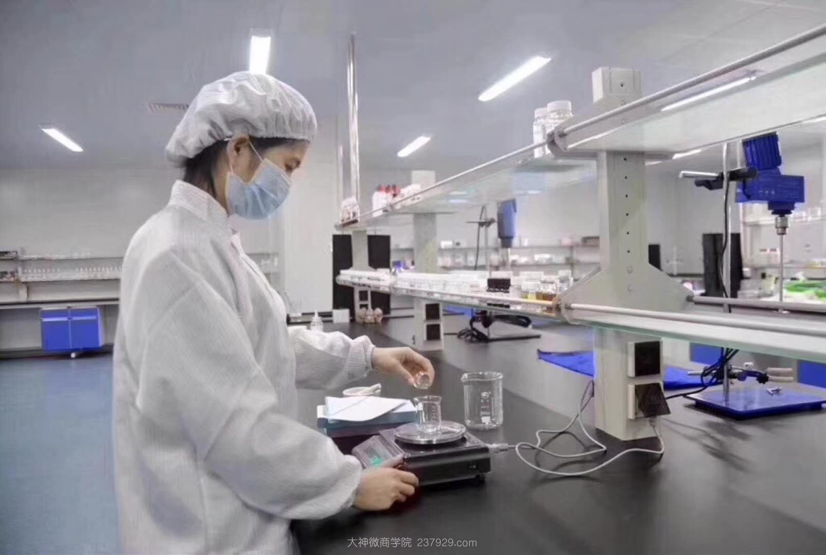 蜜都生产线和蜜都工厂