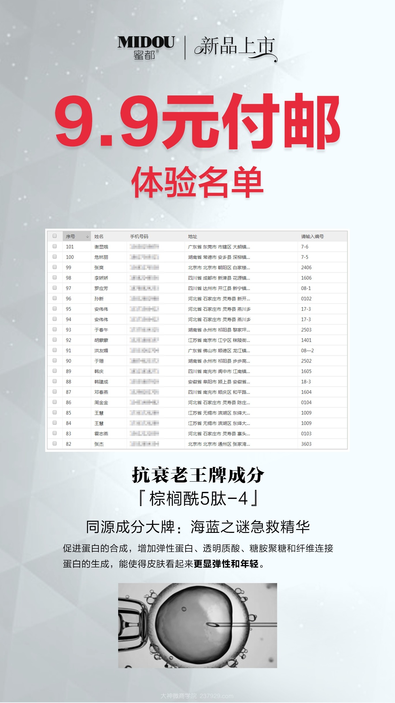 蜜都9.9付邮活动相关图片