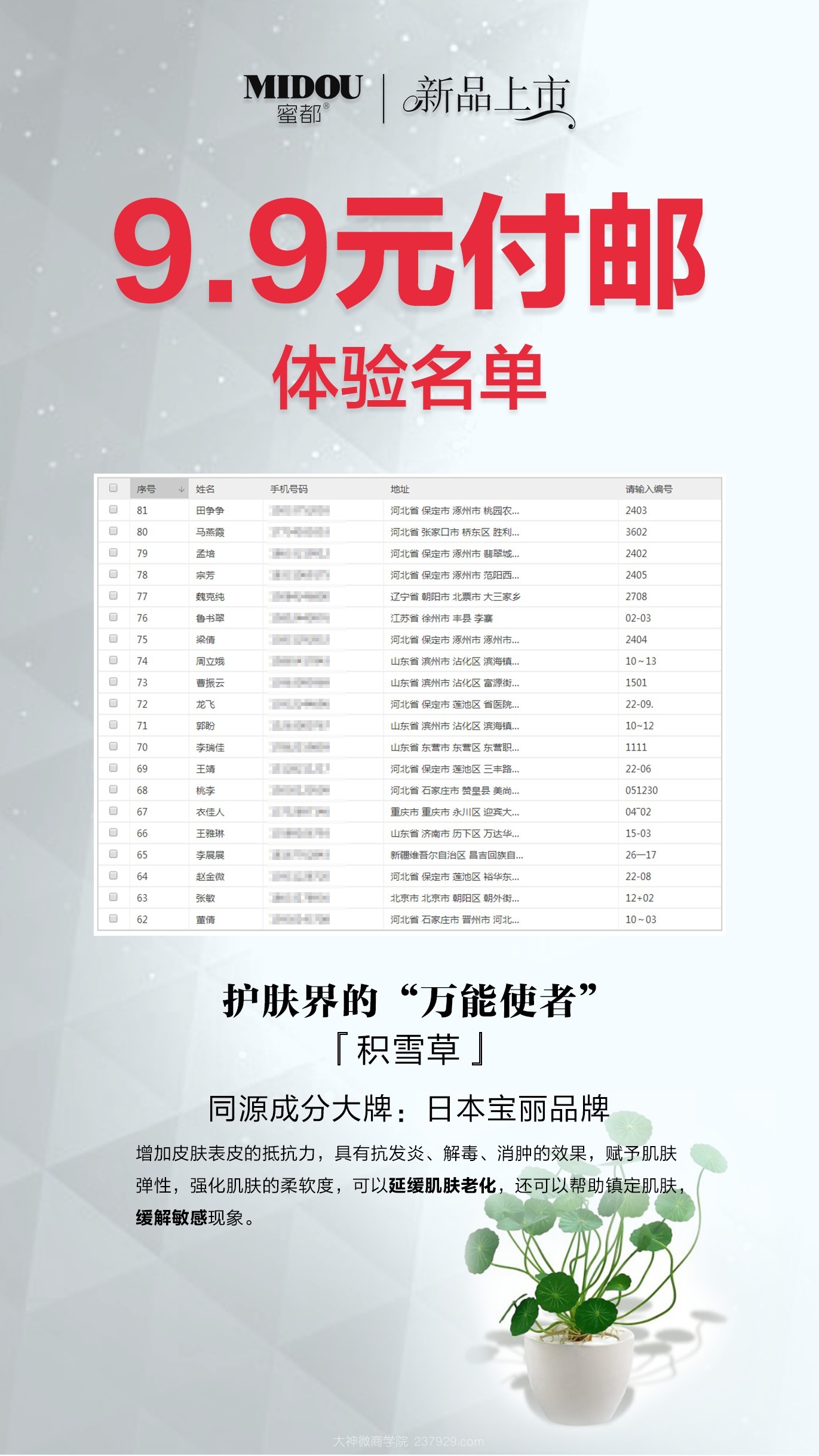 蜜都9.9付邮活动相关图片