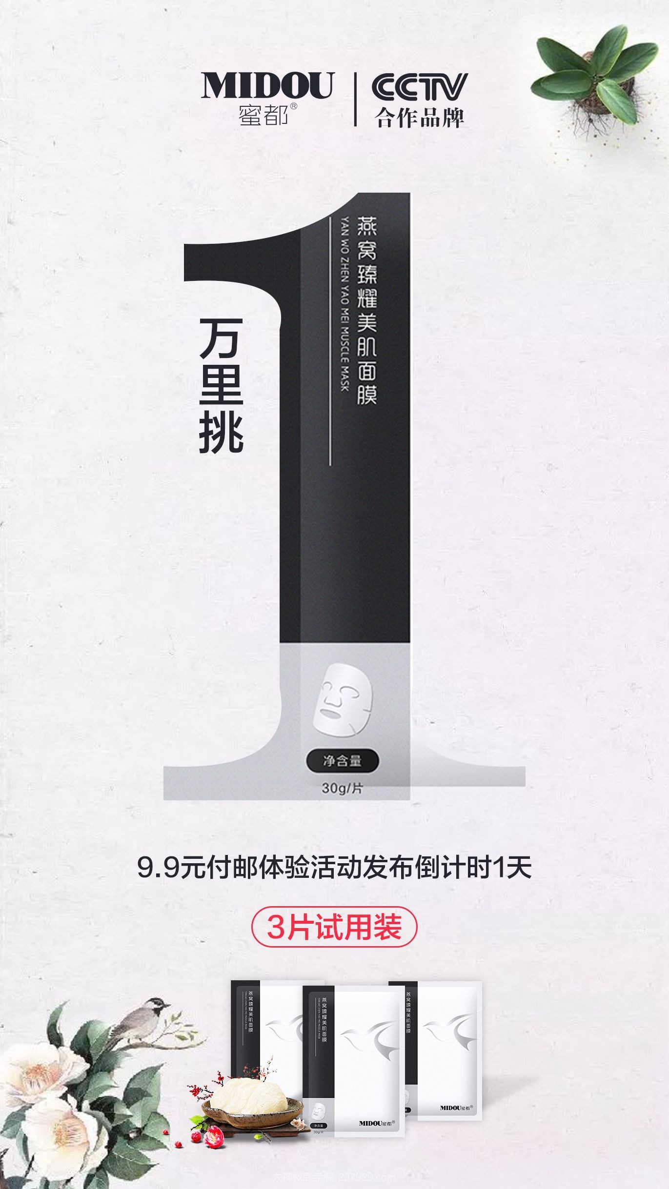 蜜都9.9付邮活动相关图片