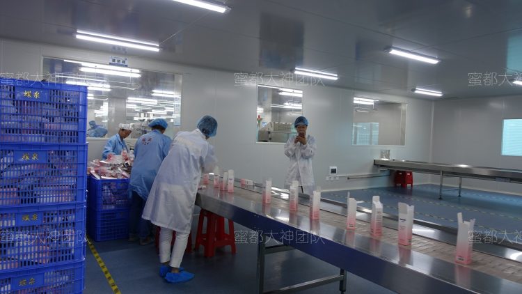 大神团队参观蜜都自有工厂"广州蝶泉化妆品厂"